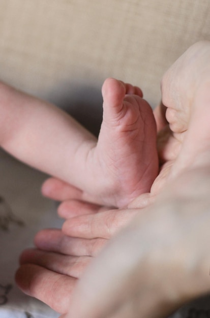 O pezinho e o calcanhar de um bebê recém-nascido nas palmas das mãos da mãe