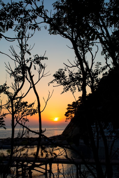 O pôr do sol laranja sobre o mar é visível através dos contornos escuros de árvores e arbustos em primeiro plano