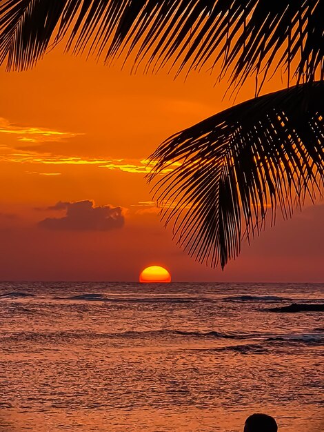 Foto o pôr-do-sol na praia das caraíbas