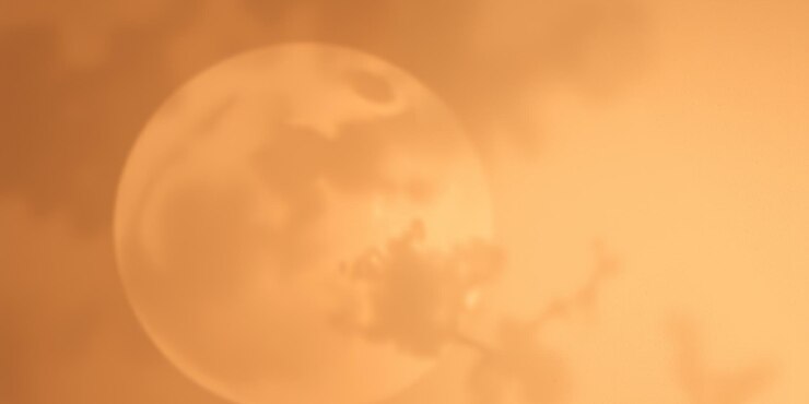 Foto o pôr-do-sol quente e nebuloso com ramos em silhueta