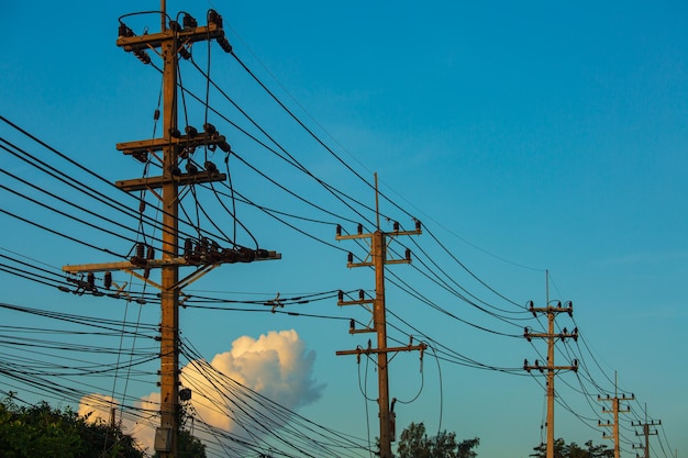 O poste elétrico e crescendo ao redor das linhas de energia com céu azul claro