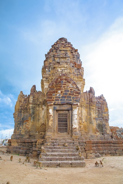 Foto o prasat e o macaco velhos em tailândia.