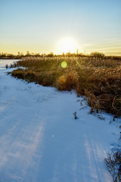 O primeiro gelo no sol ao pôr do sol