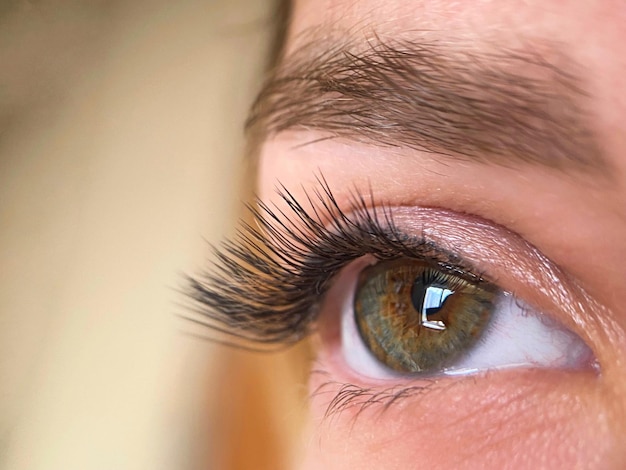 O procedimento de extensão clássica de cílios belos olhos femininos fechados com cílios longos