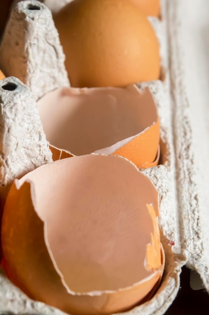 Foto o produto do processamento é uma bandeja de papel e cascas de ovos vazias muitas cascas de ovos