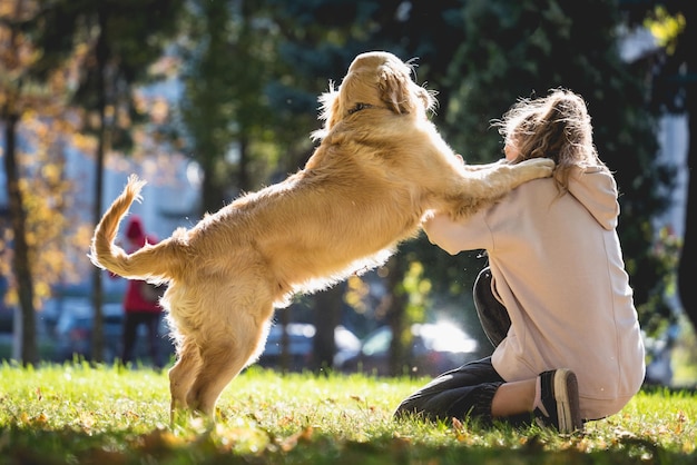 O proprietário joga o cachorro golden retriever no parque