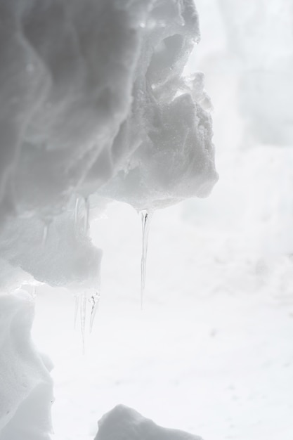 O ramo da vista dos sincelos na neve.