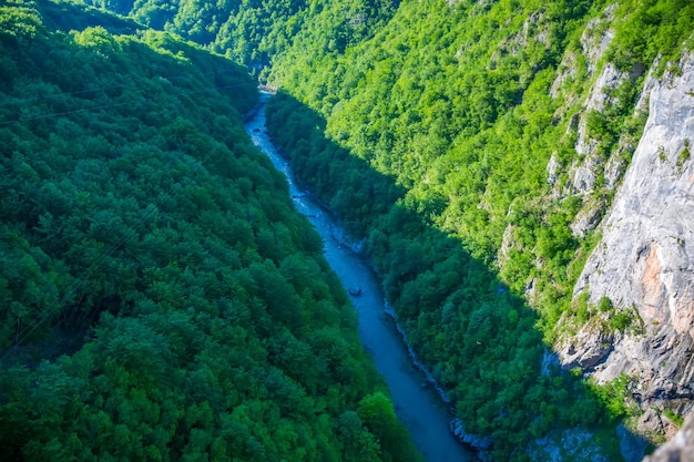 O rápido rio Tara flui na parte inferior do canyon