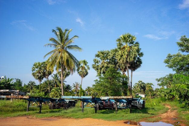 O reboque estacionou no campo com as árvores da palma e de cocos e o céu azul claro no fundo.