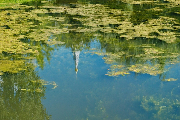 O reflexo da torre do sino na água de uma lagoa coberta de lama. Região de Moscow. Rússia