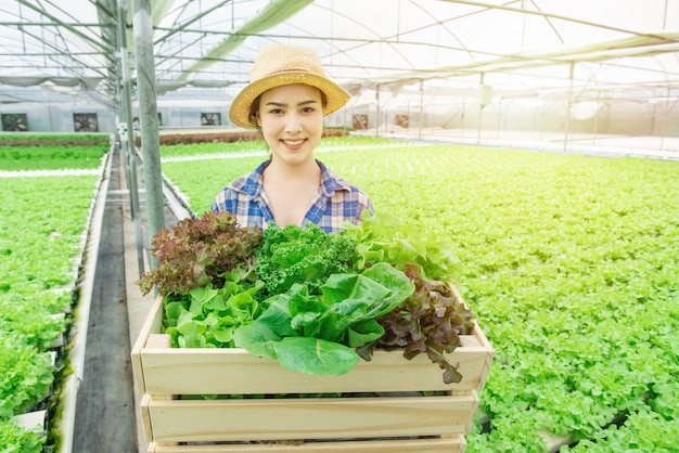 O retrato da mulher asiática bonita atrativa nova que colhe a salada do legume fresco de sua exploração agrícola da hidroponia na mão da estufa guarda a cesta de madeira e sorri, conceito do empreendedor da empresa de pequeno porte