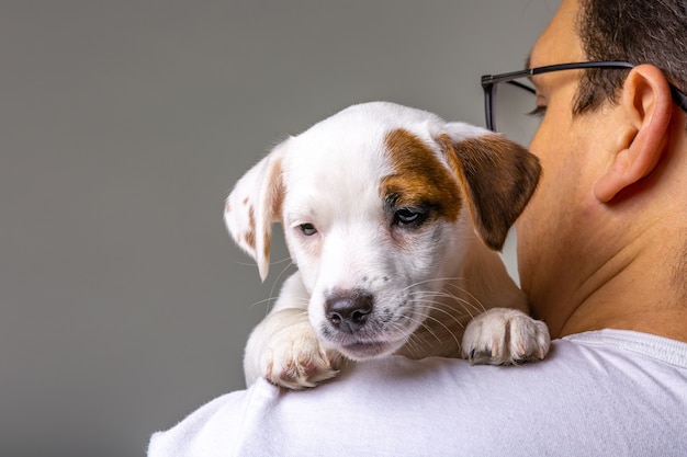 O retrato horizontal do homem alegre bonito mantém jack russell terrirer no ombro