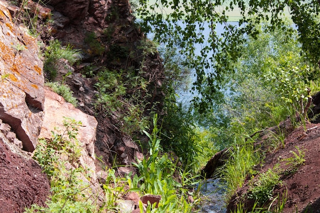 O riacho deságua no lago entre rochas e galhos de árvores com folhas verdes no verão