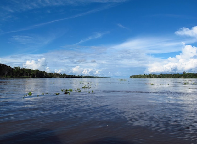 O rio Amazonas no Peru América do Sul