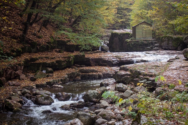 O rio corre pela floresta no outono