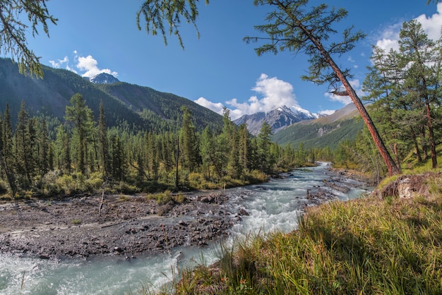 O rio corre por um vale pitoresco nas montanhas de Altai