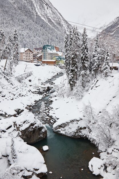 O rio da montanha da paisagem do inverno flui entre rochas na geada da floresta de coníferas da neve nos galhos queda de neve pesada