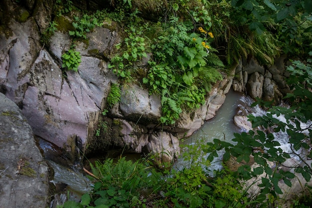 O rio da montanha desagua na garganta