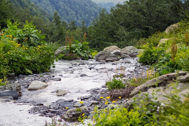 O rio da montanha desagua na garganta