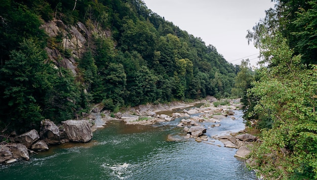 O rio de montanha Prut e cachoeiras Probiy em Yaremche Cárpatos Ucrânia