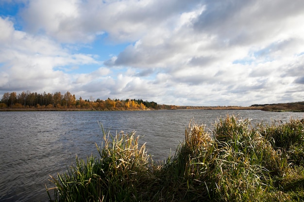 O rio e a floresta, o outono fotografou o rio Neman, localizado na Bielorrússia, a temporada de outono, a floresta e as árvores ficaram amarelas ao fundo, tempo nublado