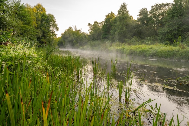 O rio está coberto de neblina matinal ao nascer do sol cercado por uma densa floresta verde Natureza selvagem Férias de fim de semana ativas natureza selvagem ao ar livre