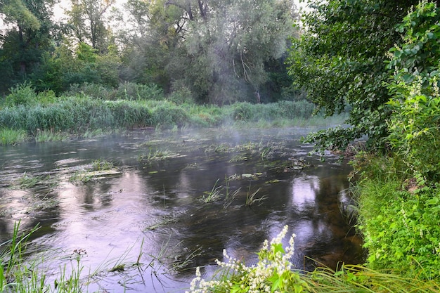 O rio está coberto de neblina matinal ao nascer do sol cercado por uma densa floresta verde Natureza selvagem Férias de fim de semana ativas natureza selvagem ao ar livre