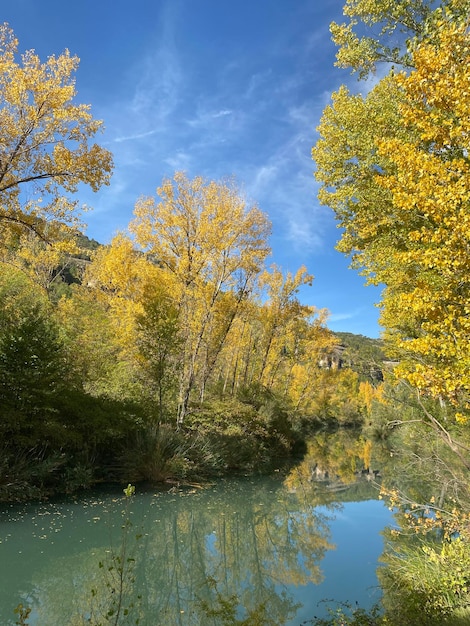 O rio Jucar no outono em Cuenca, Castilla La Mancha, na Espanha. Paisagem de outono com árvores cheias