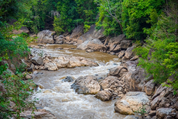 O rio na floresta tropical, Tailândia