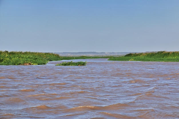 O rio na reserva natural de Rosário perto de Cartagena, Colômbia