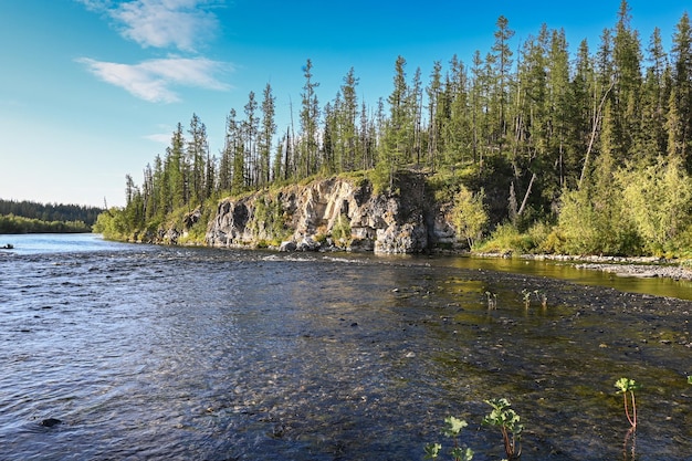 O rio taiga dos Urais Polares