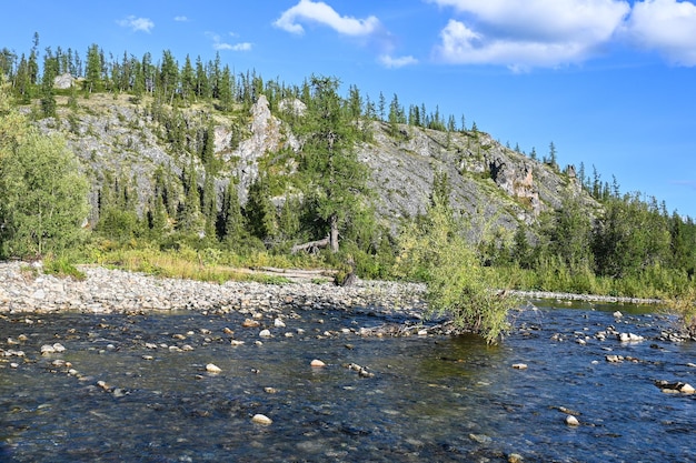 O rio taiga dos Urais Polares