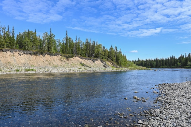 O rio taiga dos Urais Polares