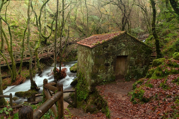 O rio valga é um rio da província de pontevedra, galiza, espanha.