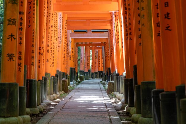 O Santuário dos Mil Portões Torii Santuário Fushimi Inari É famoso por seus milhares de vermes