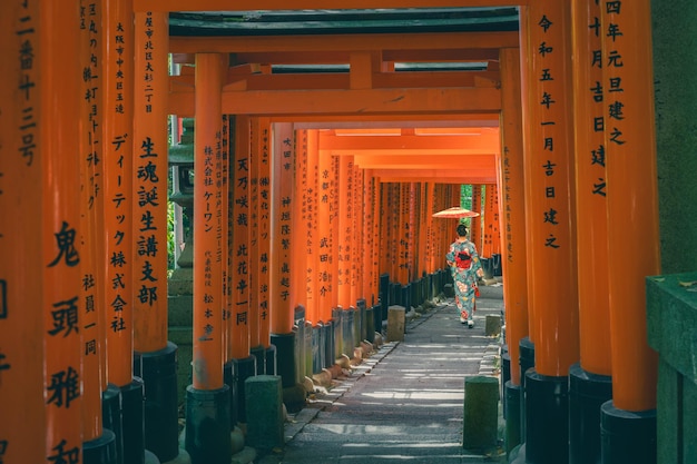 Foto o santuário dos mil portões torii santuário fushimi inari é famoso por seus milhares de vermes