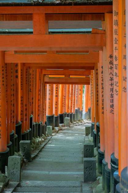 Foto o santuário dos mil portões torii santuário fushimi inari é famoso por seus milhares de vermes