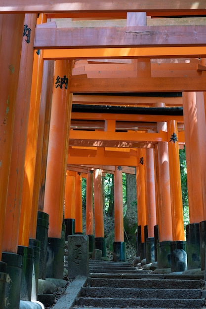 O Santuário dos Mil Portões Torii Santuário Fushimi Inari É famoso por seus milhares de vermes