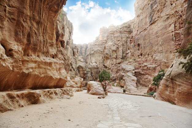 Foto o siq - antigo canyon em petra, jordânia