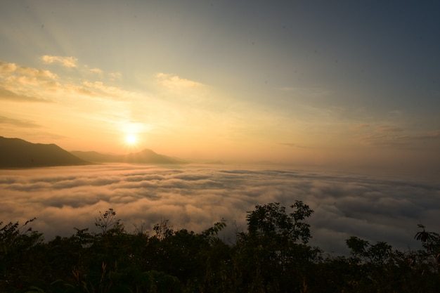 O sol brilha de manhã no inverno.