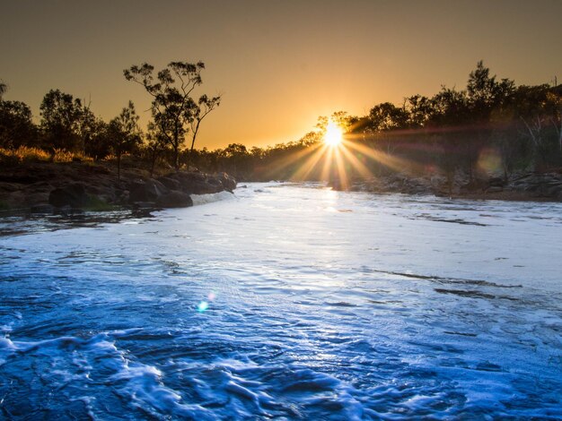 Foto o sol brilhando através das árvores