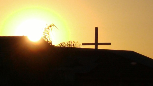 Foto o sol brilhando através das árvores