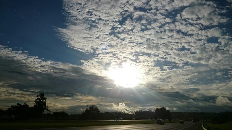 Foto o sol brilhando através das árvores