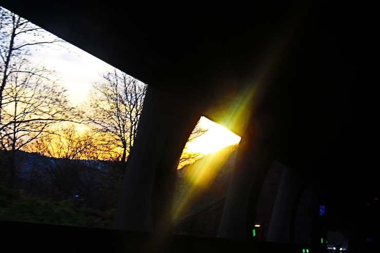 Foto o sol brilhando através das árvores