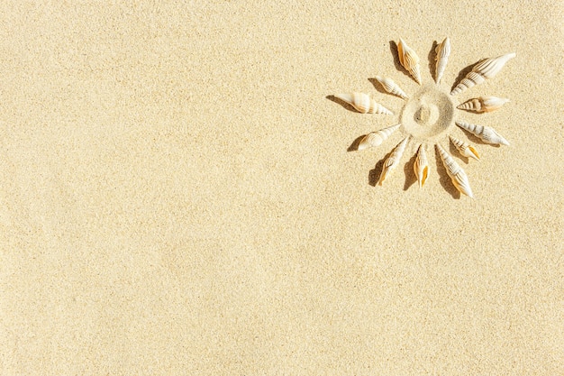 Foto o sol formou conchas na areia limpa