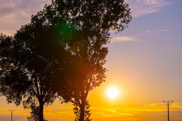 O sol poente brilha através dos ramos das árvores paisagem de outono