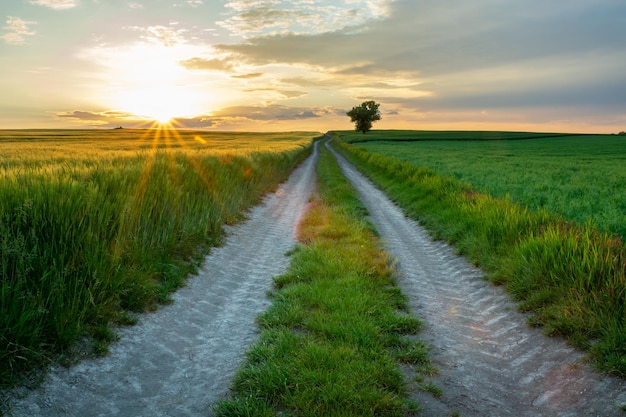 Foto o sol se esconde atrás das nuvens e uma estrada de terra através de terras agrícolas staw lubelskie polônia