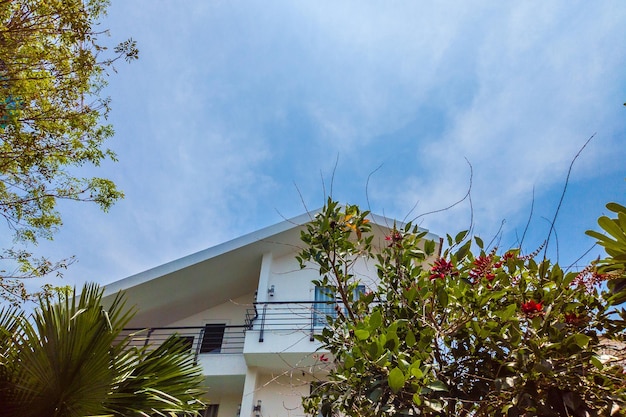 O telhado da casa com uma bela janela sob o céu azul e árvores e flores verdes brilhantes perto de Venda e aluguel de conceito imobiliário