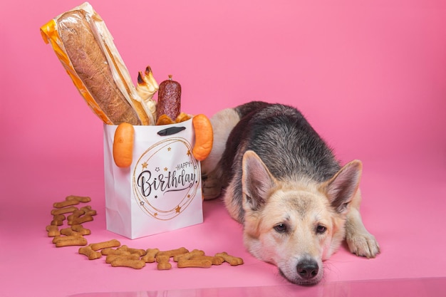O tema do aniversário do cão, saco de presentes, ossos, pães, salsichas, salsicha, em fundo rosa