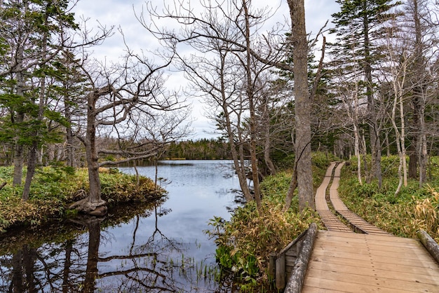 O Terceiro Lago de Shiretoko Goko Área dos Cinco Lagos Cordilheira ondulante e florestas na primavera